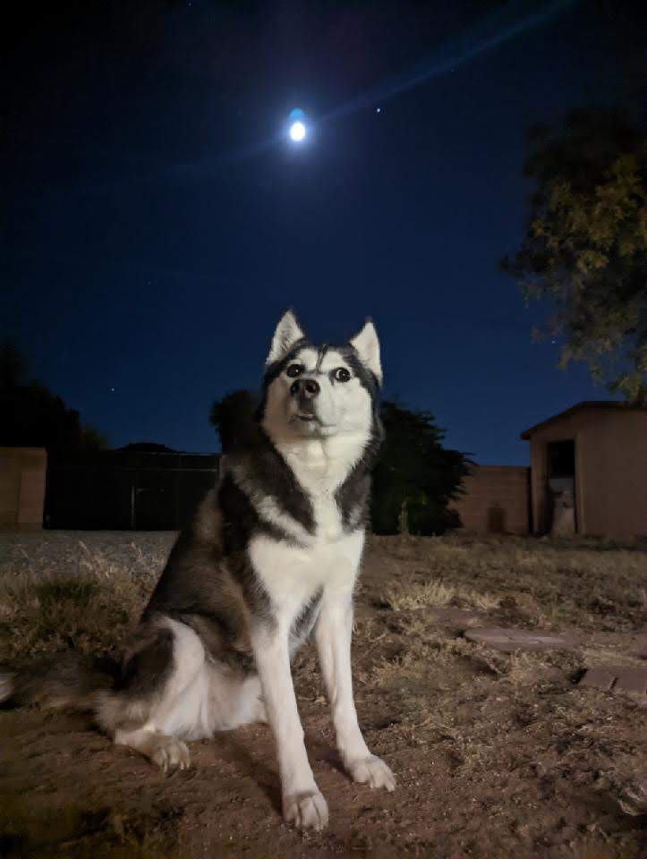 Nymeria